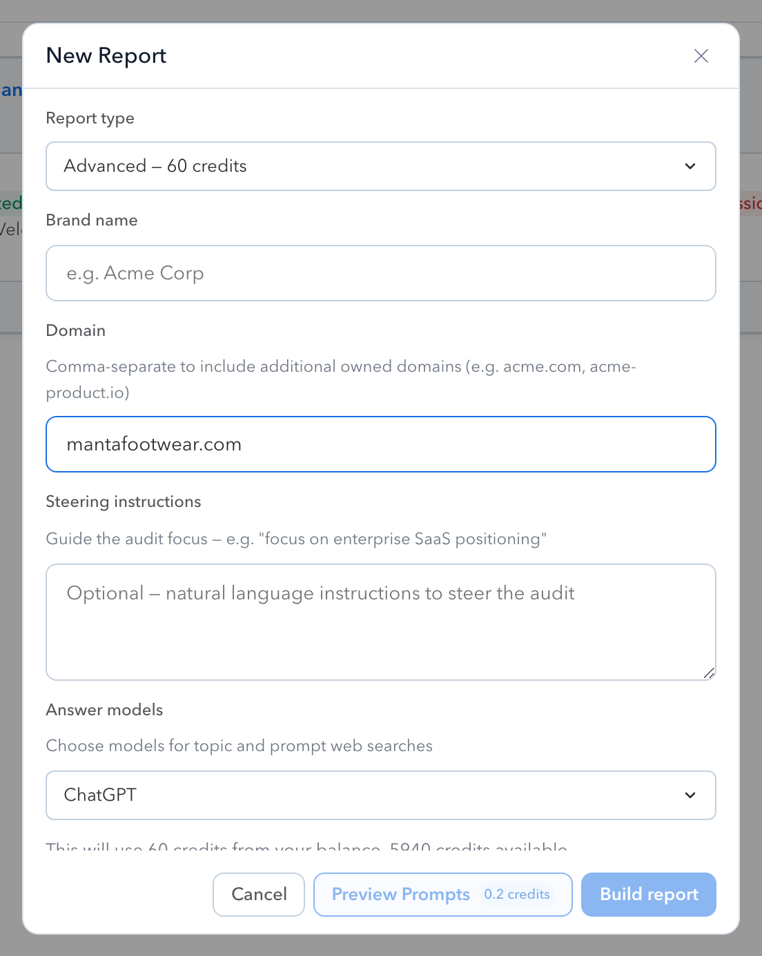 The New Report form with fields for brand name and domain